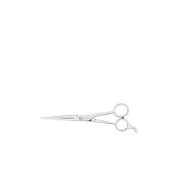 Filarmónica Ciseaux de Coiffure Styliste 7"