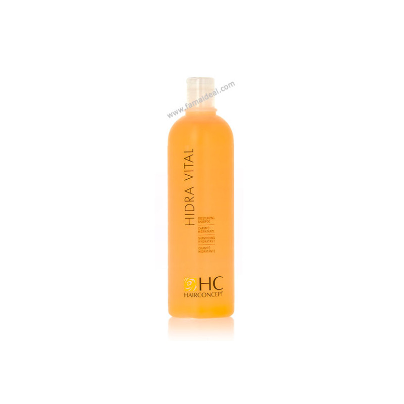 Hairconcept Shampooing Hidra Vital (500ml)
