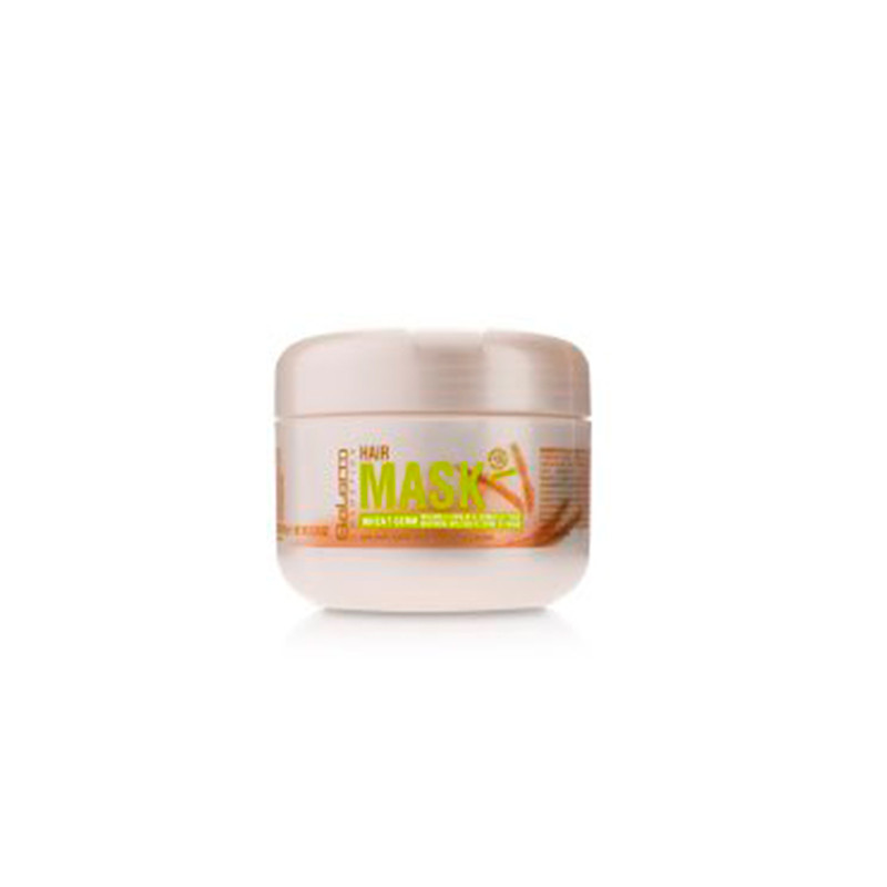 Salerm Germe de Blé Masque