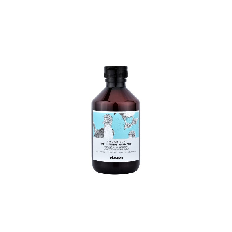 Davines Naturaltech Well Being Shampoo