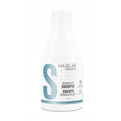 Salerm Hairlab Dermocalm Shampooing 