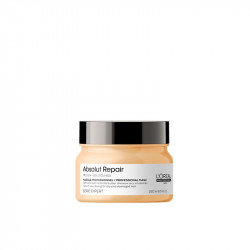 L'oreal Serie Expert Absolut Repair Masque (250ml)