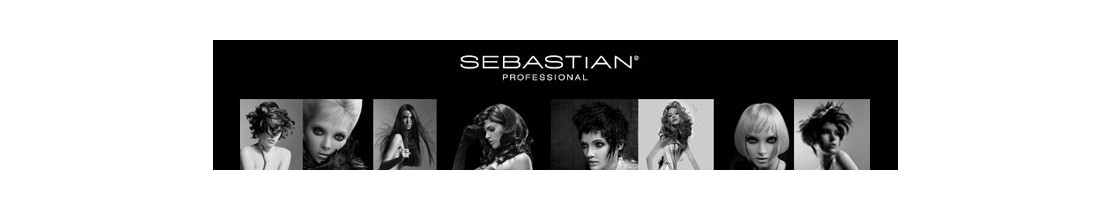Catalogue Sebastian pour le soin des cheveux