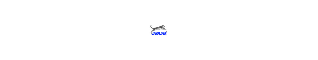Catalogue Jaguar des ciseaux de coiffeur